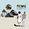 Cover Picidae - It`s Another Wor D